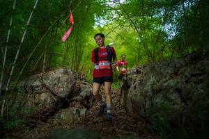 BIB: 196
                            <button type="button" onclick="openModal(22089993)" class="btn btn-primary btn-sm float-right btn-popup" data-toggle="modal" data-target=".modal-high-quality">
                        <i class="fas fa-shopping-cart"></i> Add to Cart
                    </button>
                                            <button type="button" onclick="isThisMe(22089993, true)" class="btn btn-success btn-sm float-right btn-popup btn-isme hidden" data-toggle="tooltip" data-placement="bottom" title="นี่คือรูปของคุณใช่ไหม คลิกที่นี่เพื่อเอาเข้าอัลบั้ม">
                        <i class="fas fa-plus"></i> Add to album
                    </button>
                    <button type="button" onclick="isThisMe(22089993, false)" class="btn btn-warning btn-sm float-right btn-popup btn-isnotme hidden">
                        <i class="fas fa-ban"></i> Remove from album
                    </button>